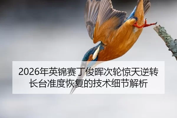 nian-ying-jin-sai-ding-jun-hui-ci-lun-jing-tian-ni-zhuan-zhang-tai-zhun-du-hui-fu-de-ji-shu-xi-jie-jie-xi-2-584.jpg